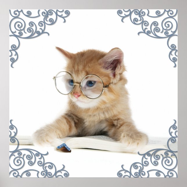 Cat Scholar Poster (Framsidan)