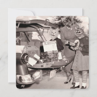 Cat Scout Cookies for Sale! Platt hälsningskort Kort