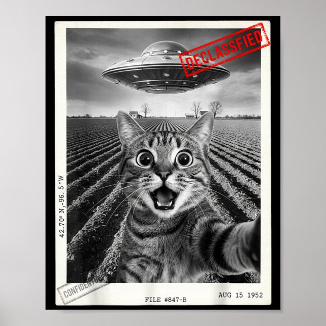 Cat Selfie Ufo Alien Funny Surprised Cat Meme Men  Poster (Framsidan)