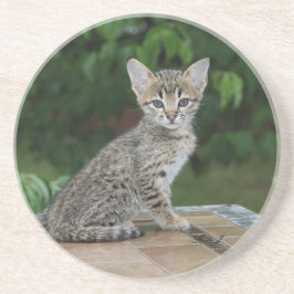 Cat Series—Serval Savannah Cat—Underlägg Underlägg