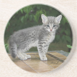 Cat Series—Serval Savannah Cat—Underlägg Underlägg