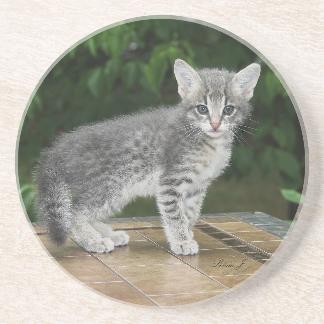 Cat Series—Serval Savannah Cat—Underlägg Underlägg (Framsidan)