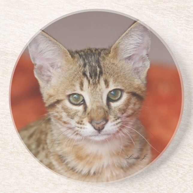 Cat Series—Serval Savannah Cat—Underlägg Underlägg (Framsidan)