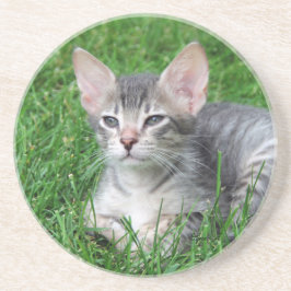 Cat Series—Serval Savannah Cat—Underlägg Underlägg