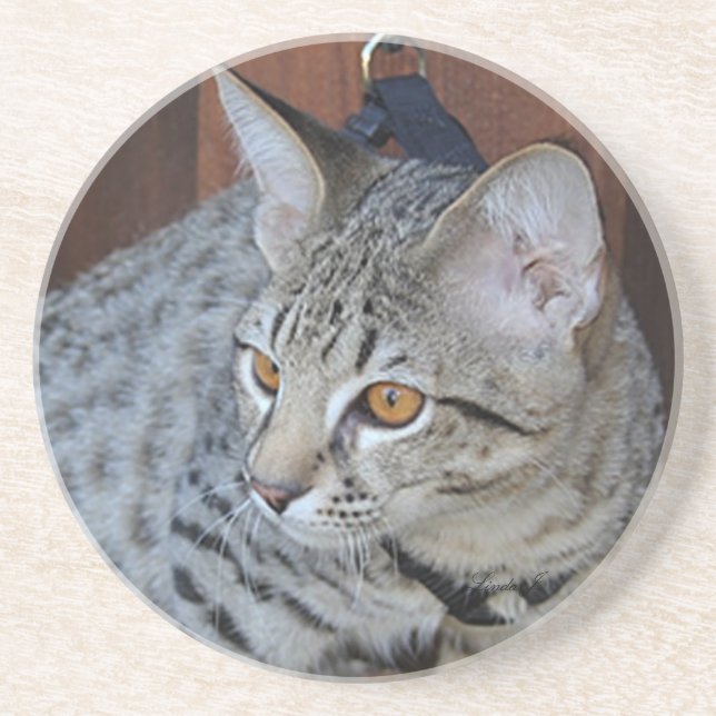 Cat Series—Serval Savannah Cat—Underlägg Underlägg (Framsidan)