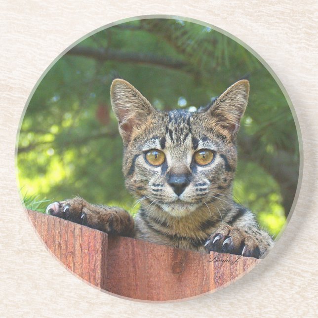 Cat Series—Serval Savannah Cat—Underlägg Underlägg Sandsten (Framsidan)