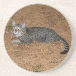 Cat Series—Serval Savannah Cat—Underlägg Underlägg Sandsten