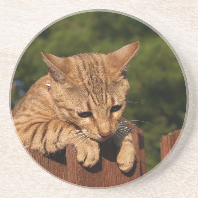 Cat Series—Serval Savannah Cat—Underlägg Underlägg Sandsten (Framsidan)