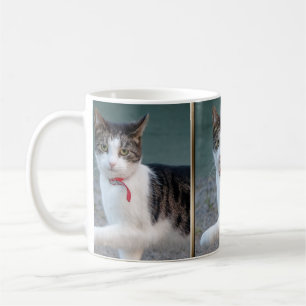 Cat Shake Händer CC0244 Coffee Mugg
