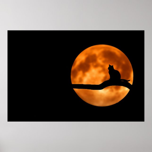 Cat Silhouette Moonlight Poster (Framsidan)