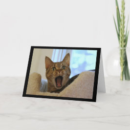 Cat Singing Grattis på födelsedagen Kort