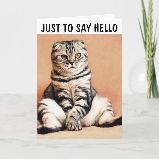 CAT SITTA LIKSOM EN PERSONS HEJ GREETING CARDS KORT (Framsida)