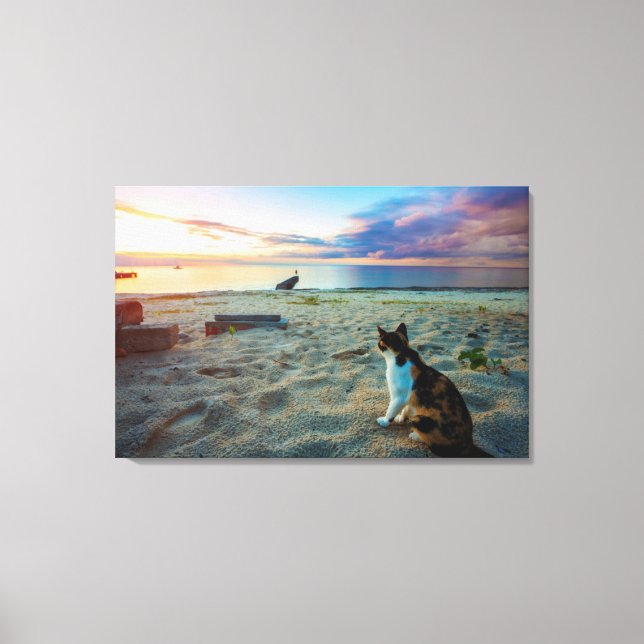 Cat Sitta på en beach Canvastryck (Framsida)