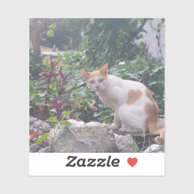 Cat Sitta på en stengummi Klistermärken (Ark)