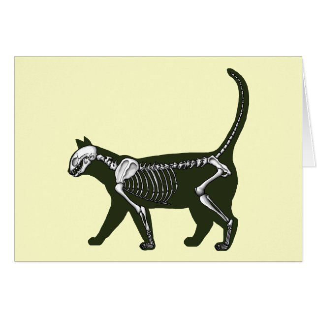 Cat Skeleton Hälsningskort (Framsidan Horizontal)