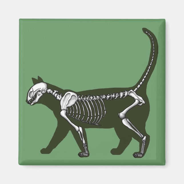 Cat Skeleton Magnet (Framsidan)