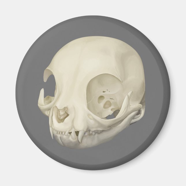 Cat Skull Magnet (Framsidan)