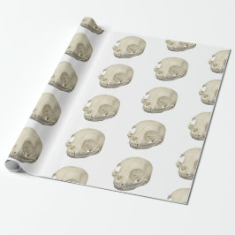 Cat Skull Presentpapper