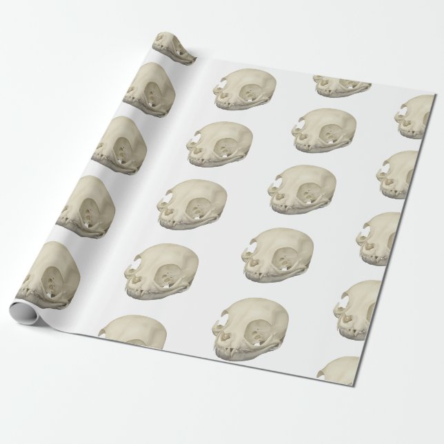Cat Skull Presentpapper (Utrullad)