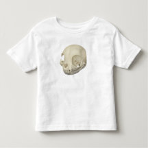 Cat Skull