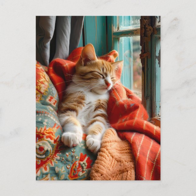 Cat Sleeping by Window with Pillow and Blanket Vykort (Framsida)