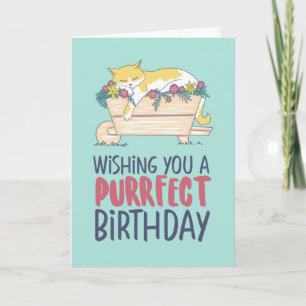 Cat Sleeping Funny Cat Lover Purrfect Birthday Kort