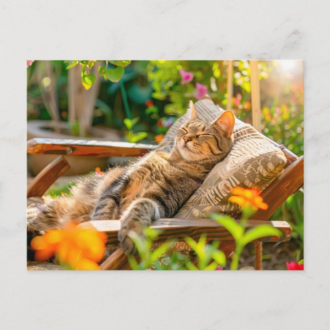 Cat sleeping in garden chair among flowers helg vykort (Framsida)