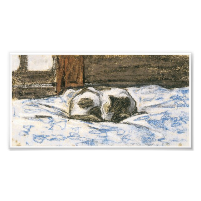 Cat Sleeping on a Bed av Claude Monet Fototryck (Framsidan)