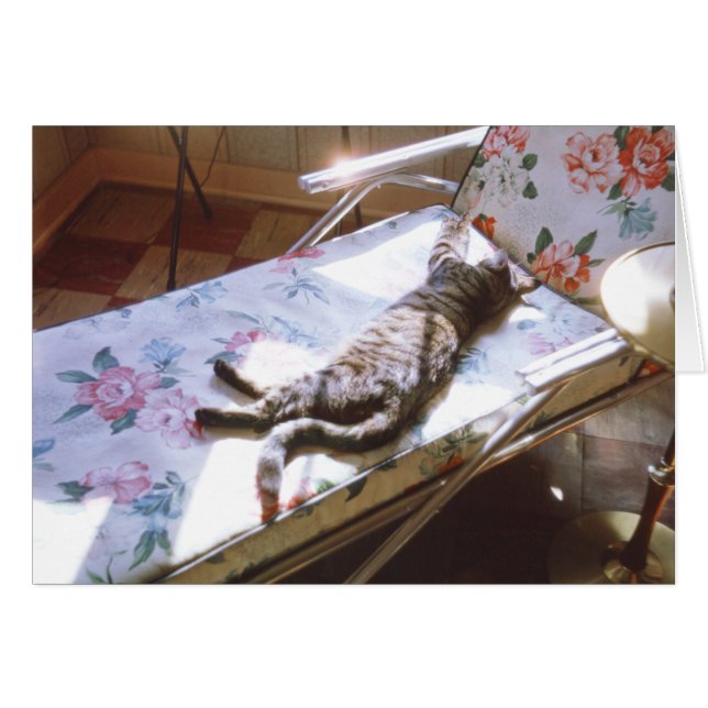 Cat Sleeping on Chaise Lounge Retro Kitten Bild Hälsningskort (Framsidan Horizontal)