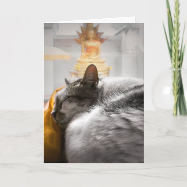 Cat Sleeping under Buddhas bevakning Kort (Framsida)