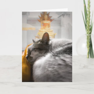 Cat Sleeping under Buddhas bevakning Kort