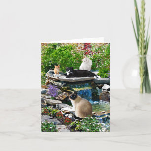 "Cat Spa"-anteckningskort Anteckningskort