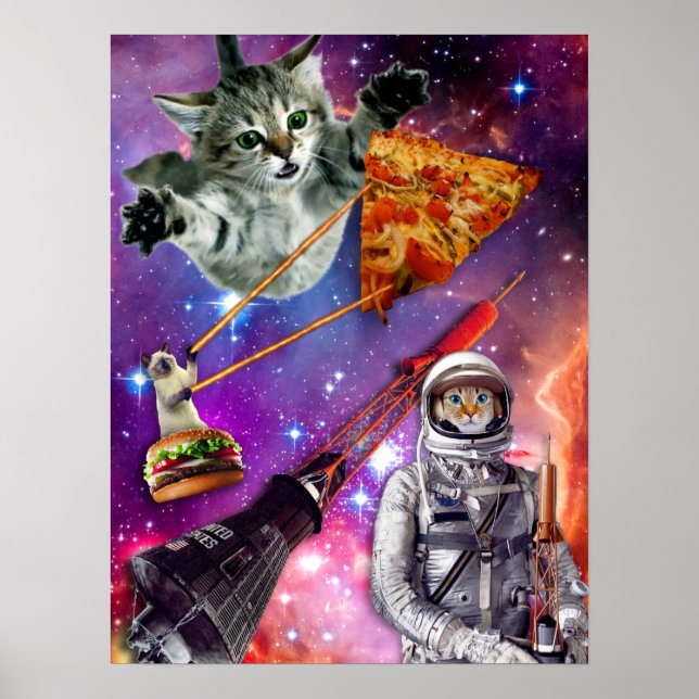 Cat Space Federation Poster (Framsidan)
