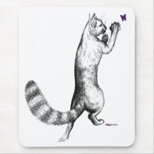 Cat Springing Musmatta