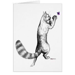 Cat Springing OBS Kort