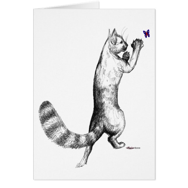 Cat Springing OBS Kort (Framsidan)