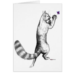Cat Springing OBS Kort