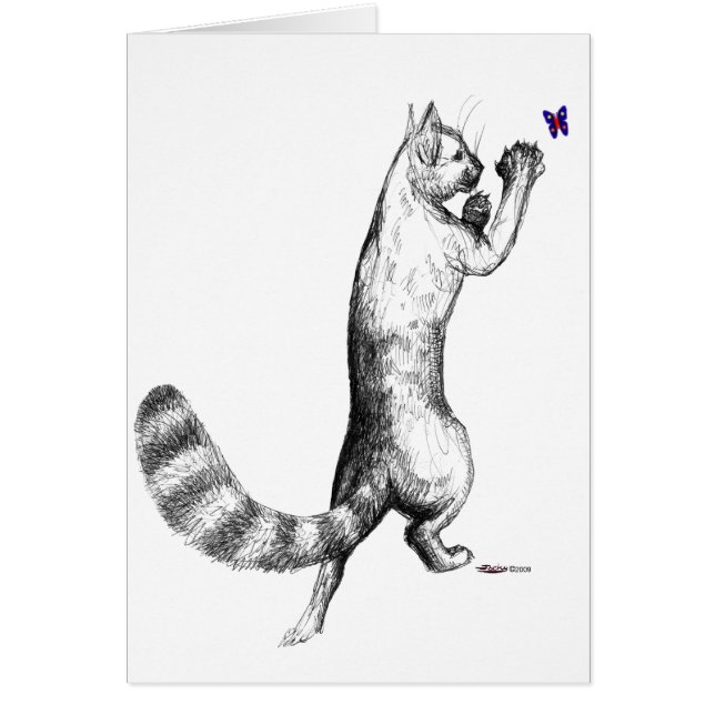 Cat Springing OBS Kort (Framsidan)