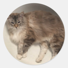 Cat Stickers Runt Klistermärke