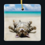 Cat Sunbad vid Beach Julgransprydnad Keramik<br><div class="desc">Det här fotot skulle kunna vara en definition av blåsor,  njutning och avslappning... ..och vem som helst skulle identifiera sig med den söta lilla kattungen som solbadade på stranden...  Är det höger? Anpassa till dina önskemål.</div>