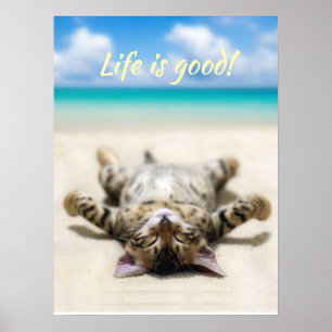 Cat Sunbad vid Beach Poster
