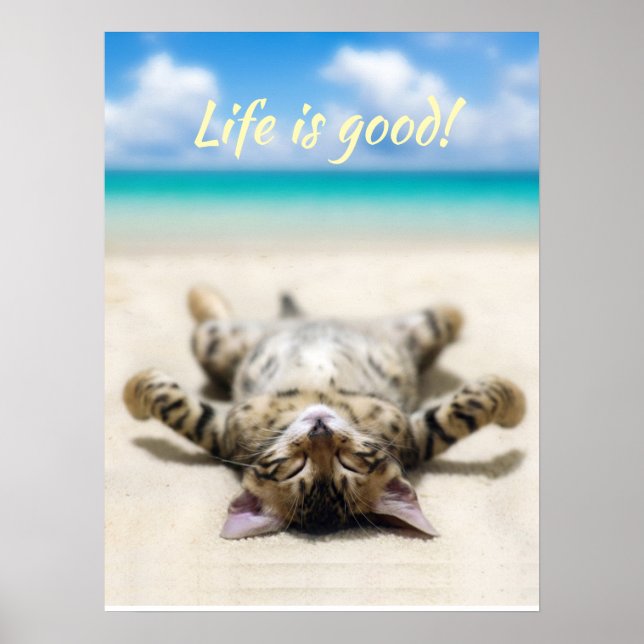 Cat Sunbad vid Beach Poster (Framsidan)