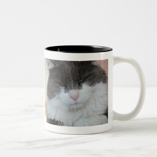 Cat Svan Lesson Learning Två-Tonad Mugg (Höger)