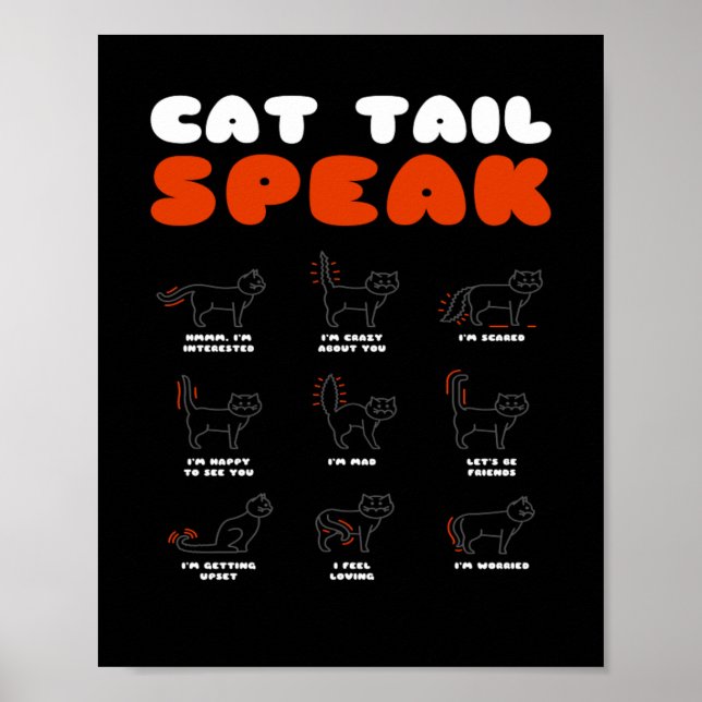Cat Svan talar katt kitten Meow Animal Poster (Framsidan)