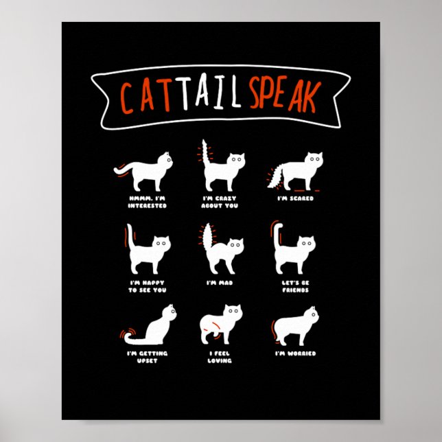 Cat Svan talar katt kitten Meow Animal Poster (Framsidan)