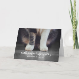 Cat Sympathy Bereavement Greeting Card Kort