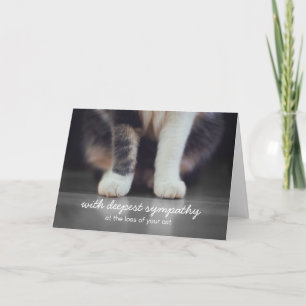 Cat Sympathy Bereavement Greeting Card Kort
