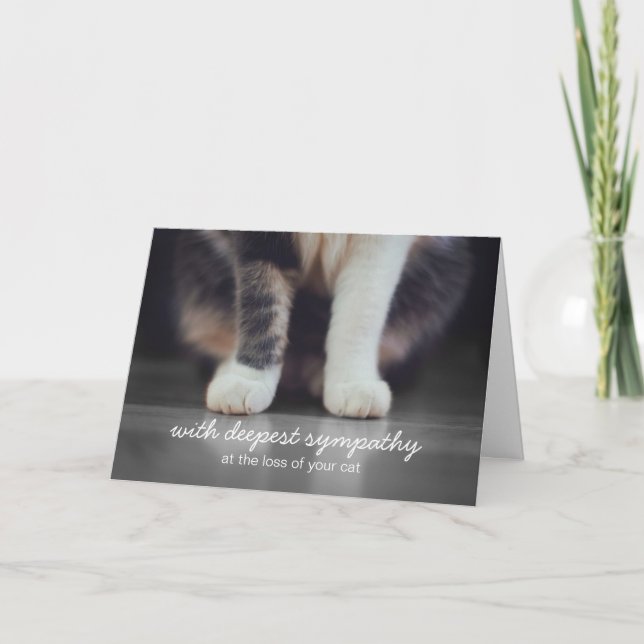 Cat Sympathy Bereavement Greeting Card Kort (Framsida)