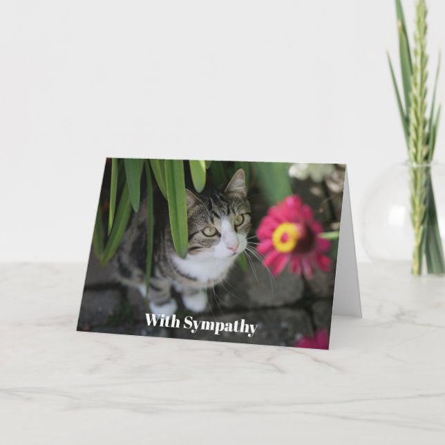 Cat Sympathy Card Personalized Pet Memorial  Kort (Framsida)