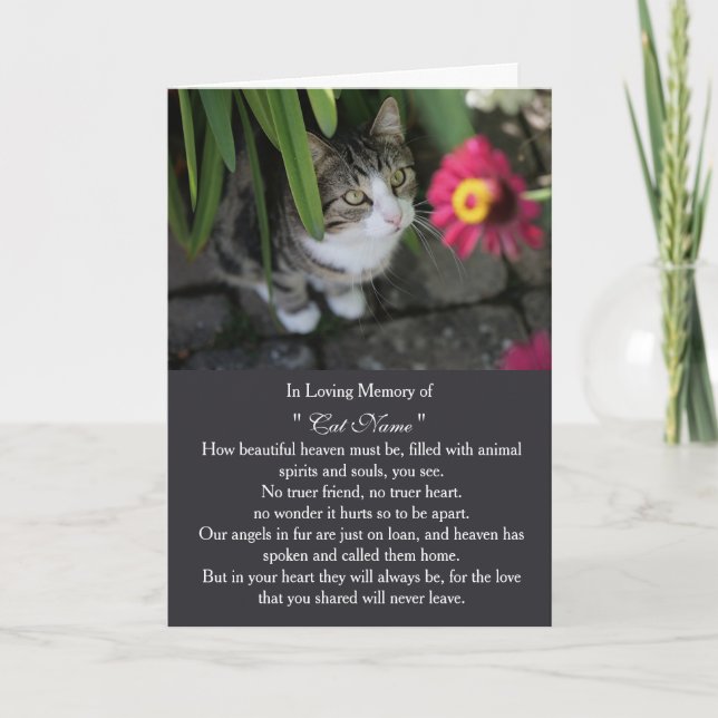Cat Sympathy Card Personalized photo Pet Memorial Kort (Framsida)